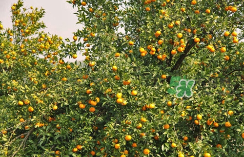 9月份去浙江穿什么？九月份去浙江穿什么衣服