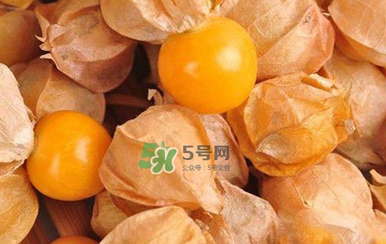 姑娘果怎么挑選？姑娘果產(chǎn)地在什么地方