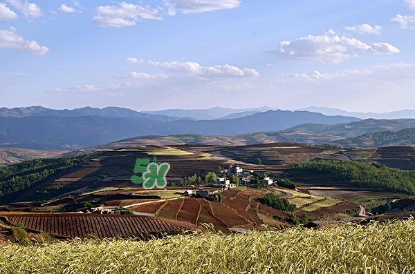 9月份去云南穿什么？九月份去云南穿什么衣服