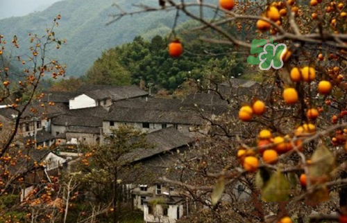 9月份去浙江穿什么？九月份去浙江穿什么衣服