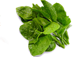 木耳菜是什么季節(jié)的菜？木耳和木耳菜有區(qū)別嗎