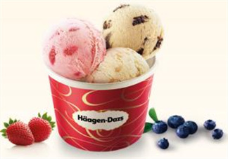 哈根達斯(H?agen-Dazs)柚子芝士蛋糕多少錢_好吃嗎？