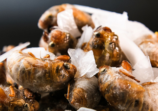 知了殼能能吃嗎？知了殼怎么吃？