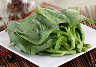 木耳菜和什么食物相克？木耳菜不能和什么一起吃