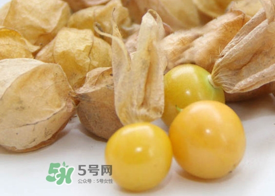 黃菇娘幾月種植？黃菇娘的種植注意事項(xiàng)