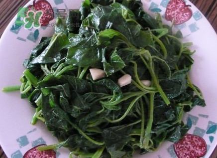 野莧菜有毒嗎？野莧菜怎么吃