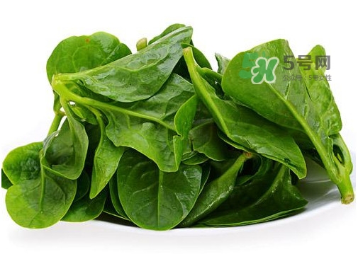 木耳菜能和豆腐一起吃嗎？豆腐可以和木耳菜一起吃嗎