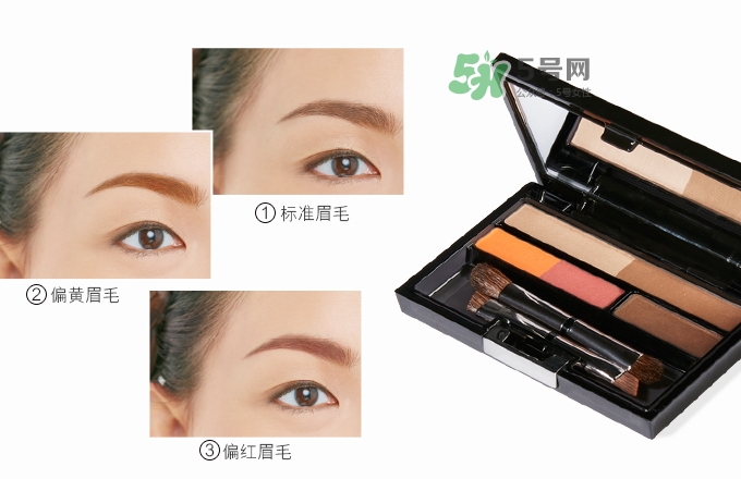 ipsa五色眉粉怎么用？ipsa茵芙莎五色眉粉使用方法