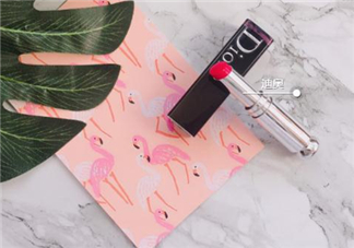 dior740和744哪個好看？迪奧740和744試色對比