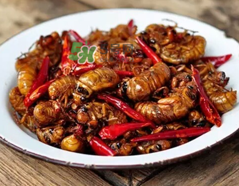 吃金蟬過敏怎么辦？吃金蟬為什么會過敏？