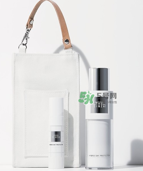 The Ginza在日本哪里有賣？日本The Ginza專柜地址