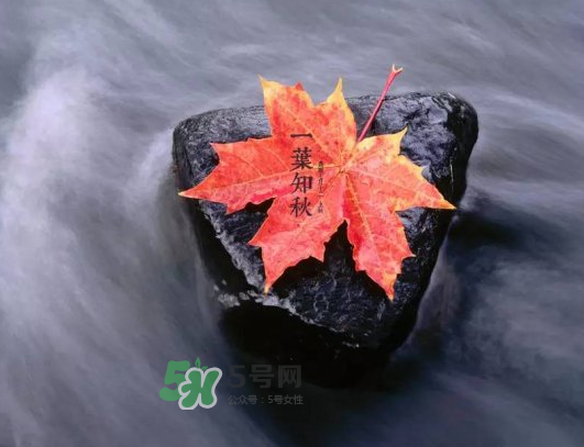 2017早立秋還是晚立秋？早立秋和晚立秋的區(qū)別