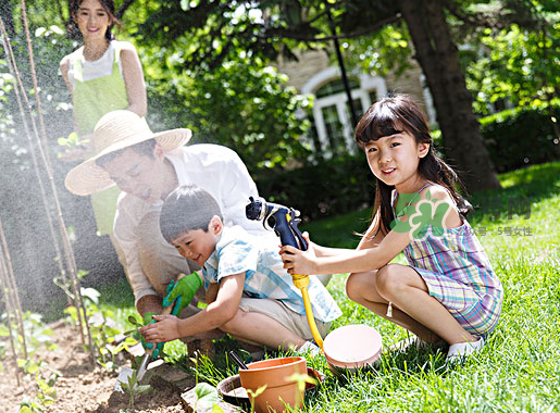 立秋可以種什么菜？立秋后可以種什么菜？