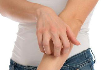 吃金蟬過敏怎么辦？吃金蟬為什么會(huì)過敏？