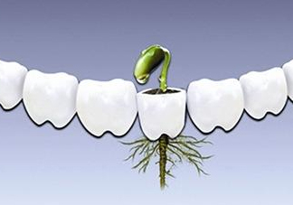 種植牙多少錢一顆？為什么種植牙很貴