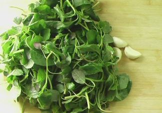 野莧菜怎么做好吃？野莧菜怎么保存