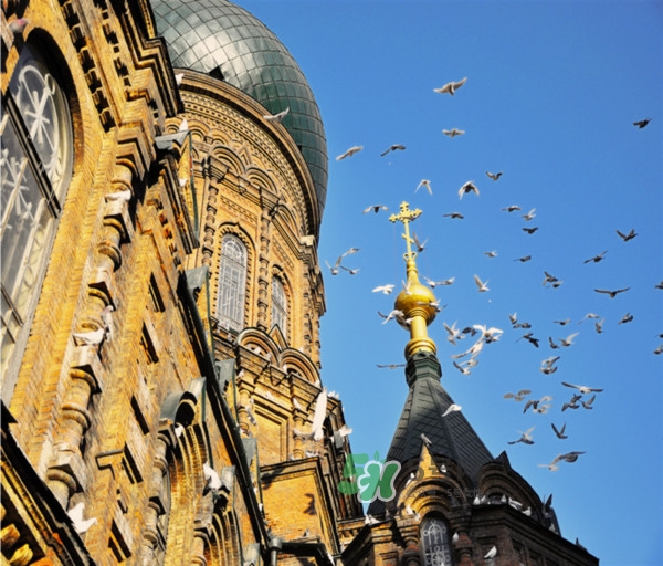 9月份去哈爾濱穿什么？九月份去哈爾濱穿什么衣服