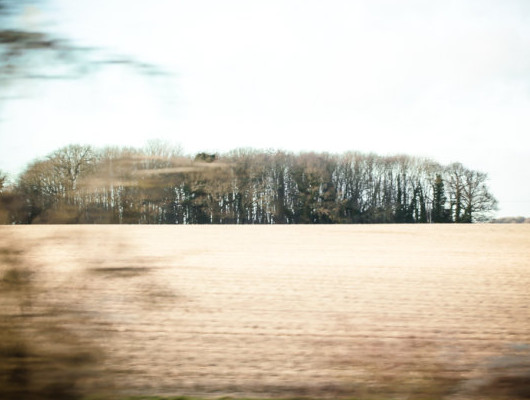 夢(mèng)見(jiàn)牙齒松動(dòng)或掉了是什么預(yù)兆？夢(mèng)到自己掉牙是怎么回事