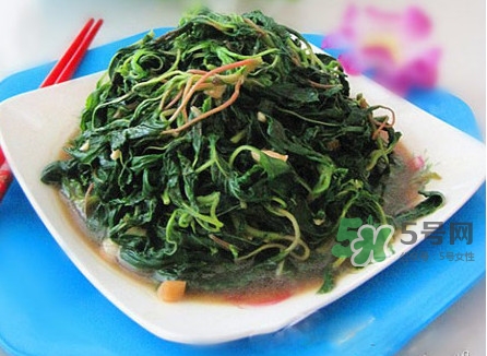 野莧菜怎么做好吃？野莧菜怎么保存