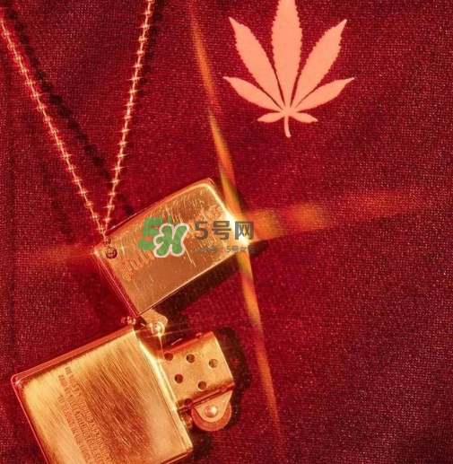 palm angels是什么牌子_哪個國家的_什么檔次？