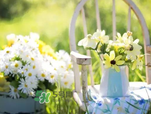 閏六月為什么熱？2017閏六月會多熱一個月嗎？