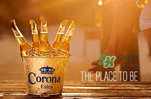 科羅娜啤酒多少錢一瓶？科羅娜啤酒好喝嗎