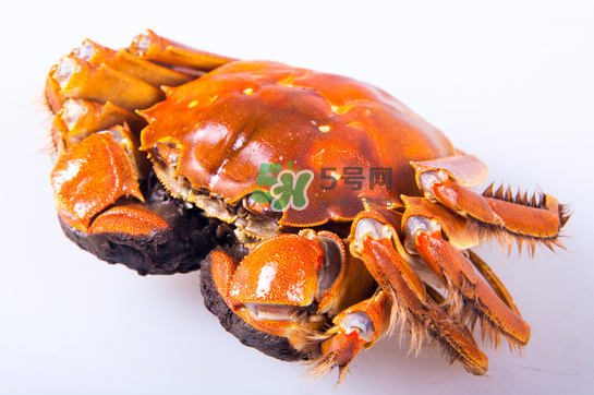 大閘蟹多少錢一斤2017？2017大閘蟹價格