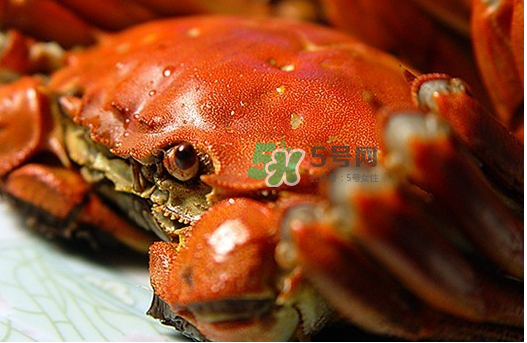 大閘蟹多少錢一斤2017？2017大閘蟹價格