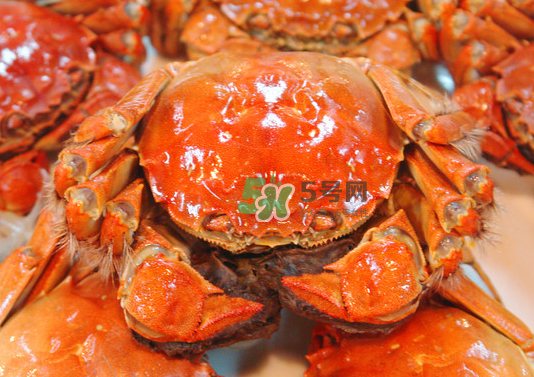 2017年陽(yáng)澄湖大閘蟹多少錢(qián)一斤？2017陽(yáng)澄湖大閘蟹價(jià)格