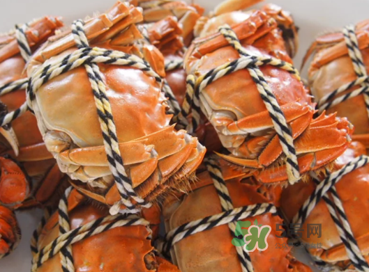 2017年陽(yáng)澄湖大閘蟹多少錢(qián)一斤？2017陽(yáng)澄湖大閘蟹價(jià)格