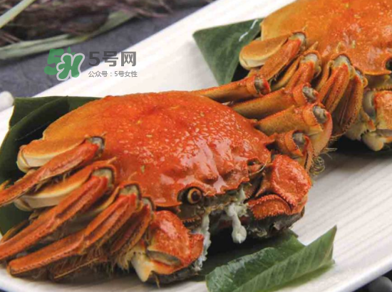 2017盤錦河蟹多少錢一斤？2017盤錦河蟹價(jià)格預(yù)測(cè)