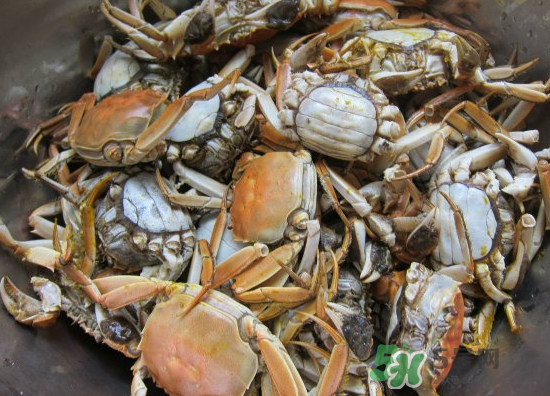 河蟹多少錢一斤2017？2017河蟹價(jià)格