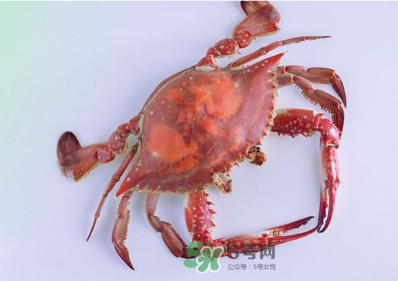 海蟹多少錢一斤2017？2017海蟹價(jià)格