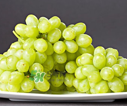 馬奶葡萄是提子嗎？馬奶葡萄怎么洗？