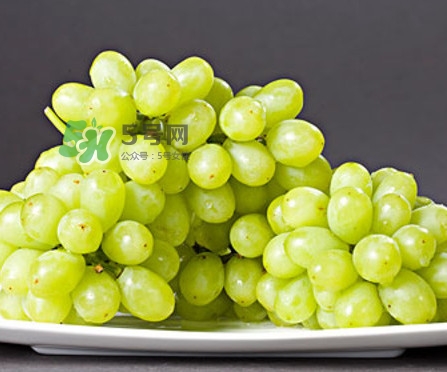 馬奶葡萄幾月成熟？吃馬奶葡萄有什么好處？