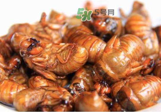 立秋后的知了還能吃嗎？立秋還有知了猴嗎？