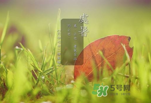 2017處暑后天氣還熱嗎_2017處暑后還要熱多久 2017處暑后天氣還熱嗎_2017處暑后還要熱多久