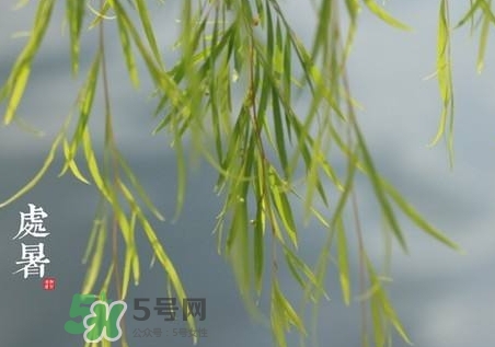 2017處暑后天氣還熱嗎_2017處暑后還要熱多久 2017處暑后天氣還熱嗎_2017處暑后還要熱多久