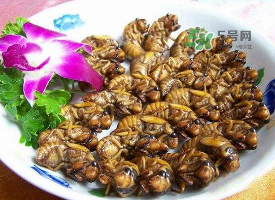 立秋后的金蟬能吃嗎？立秋后還有金蟬嗎？