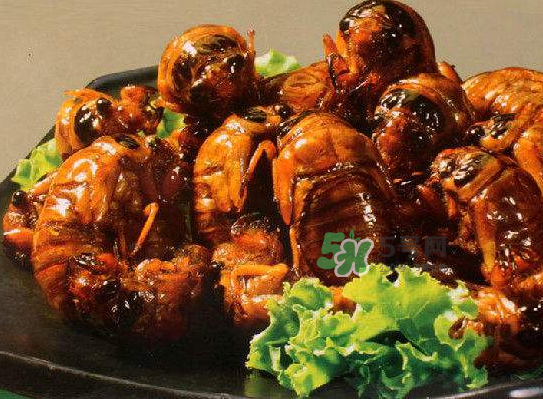 立秋后的金蟬能吃嗎？立秋后還有金蟬嗎？