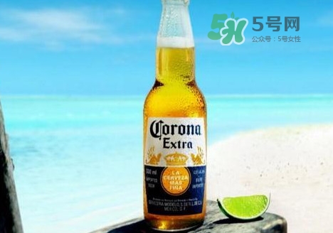 科羅娜啤酒多少錢一瓶？科羅娜啤酒好喝嗎