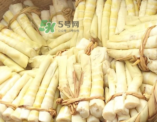 苦筍做法有哪些？苦筍怎么處理才不會苦