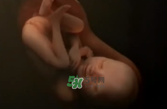 懷孕初期怎么保胎？陰道出血是流產(chǎn)征兆嗎？