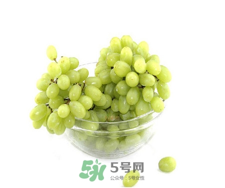 馬奶葡萄是提子嗎？馬奶葡萄怎么洗？