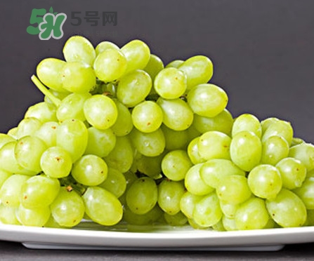 馬奶葡萄是只有新疆有嗎？綠馬奶葡萄為什么發(fā)澀