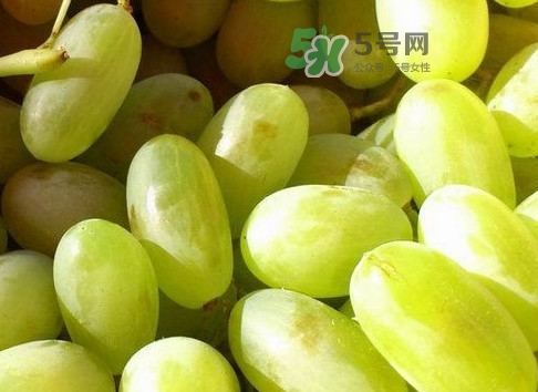 馬奶葡萄是提子嗎？馬奶葡萄怎么洗？