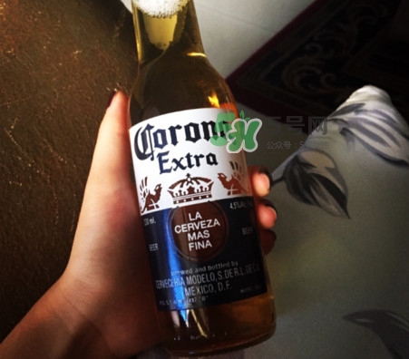 科羅娜啤酒多少度？科羅娜啤酒怎么樣