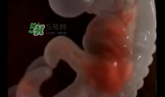 懷孕初期怎么保胎？陰道出血是流產(chǎn)征兆嗎？