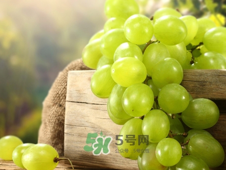 馬奶葡萄幾月成熟？吃馬奶葡萄有什么好處？