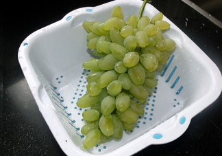 金手指葡萄到底有什么缺點？金手指葡萄什么時候成熟